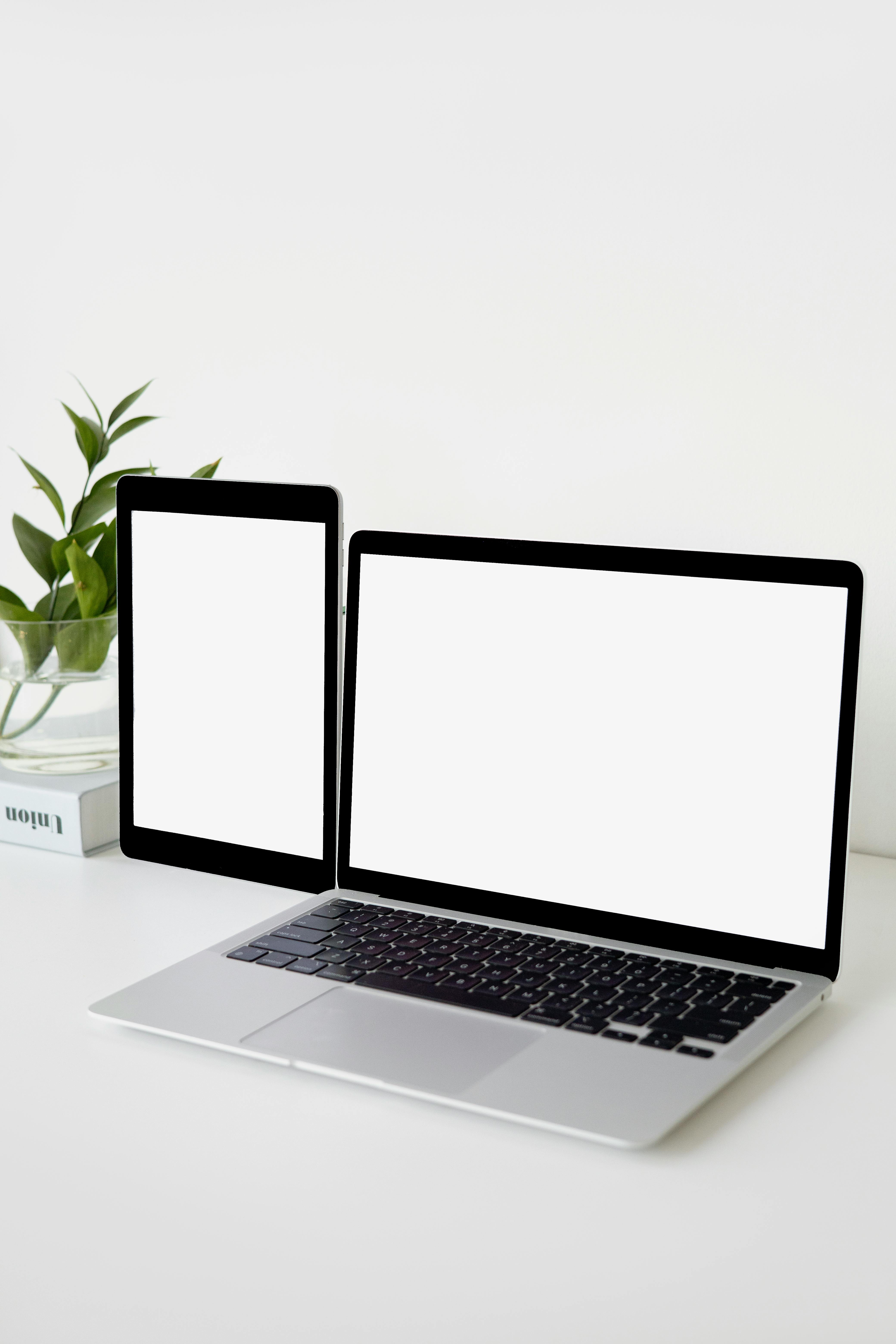 How to Write a Press Release - Visual Example