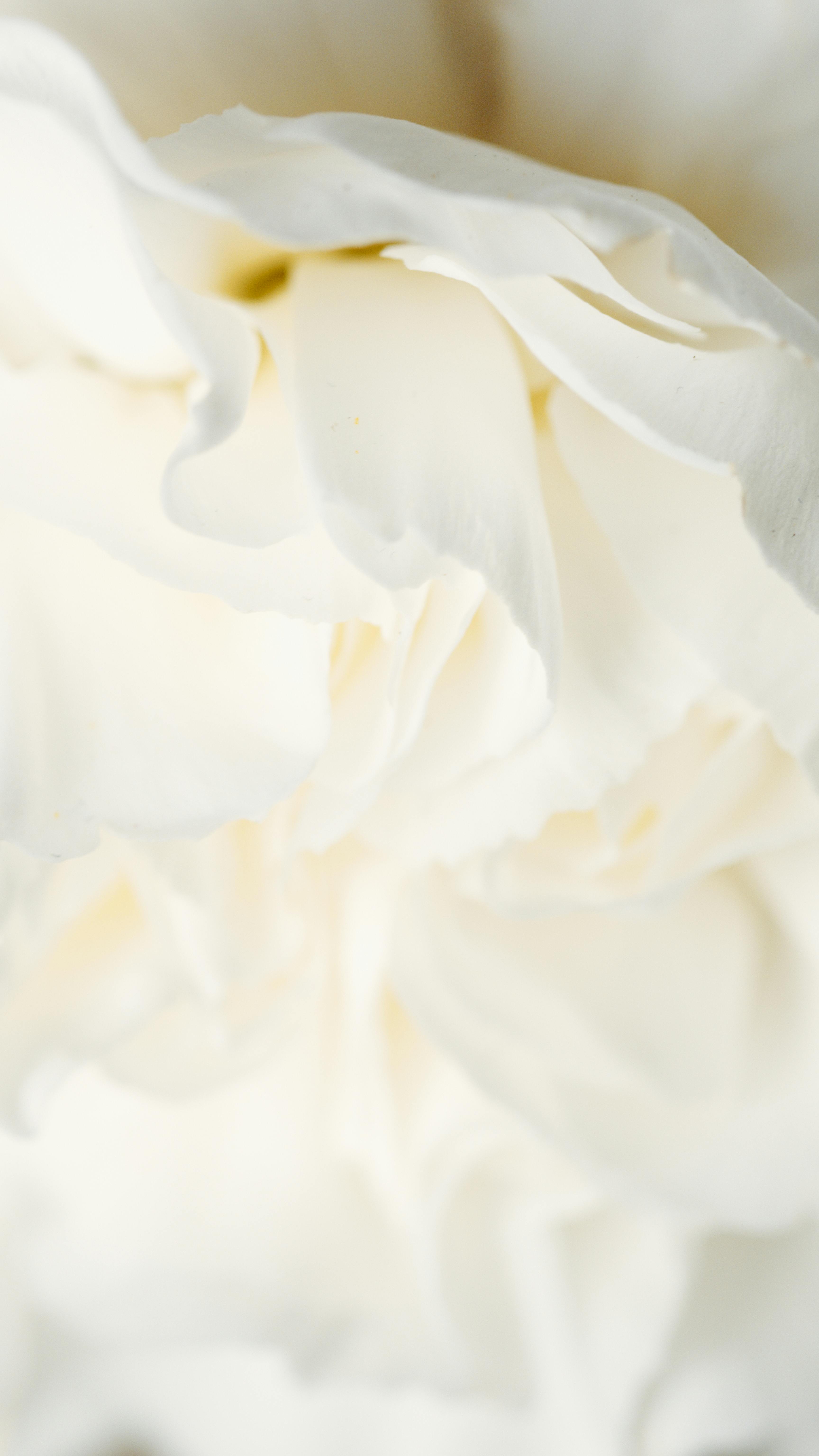 Massage Therapy Training Options