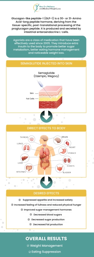 Semaglutide Guide Image 1