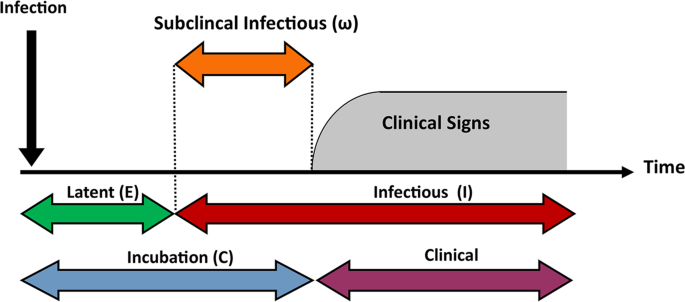 Smart Guide to Understanding How Long It Takes to Get the Flu After Exposure in 2025