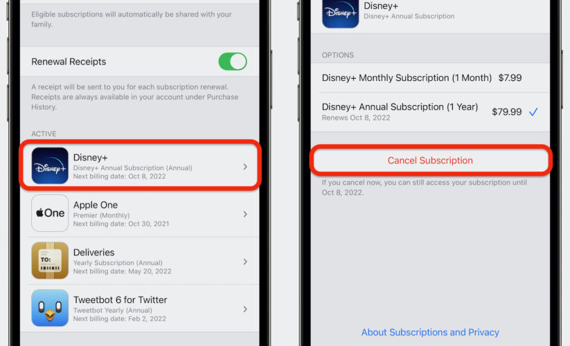 How to Easily Cancel Apple Subscriptions and Save Money in 2025