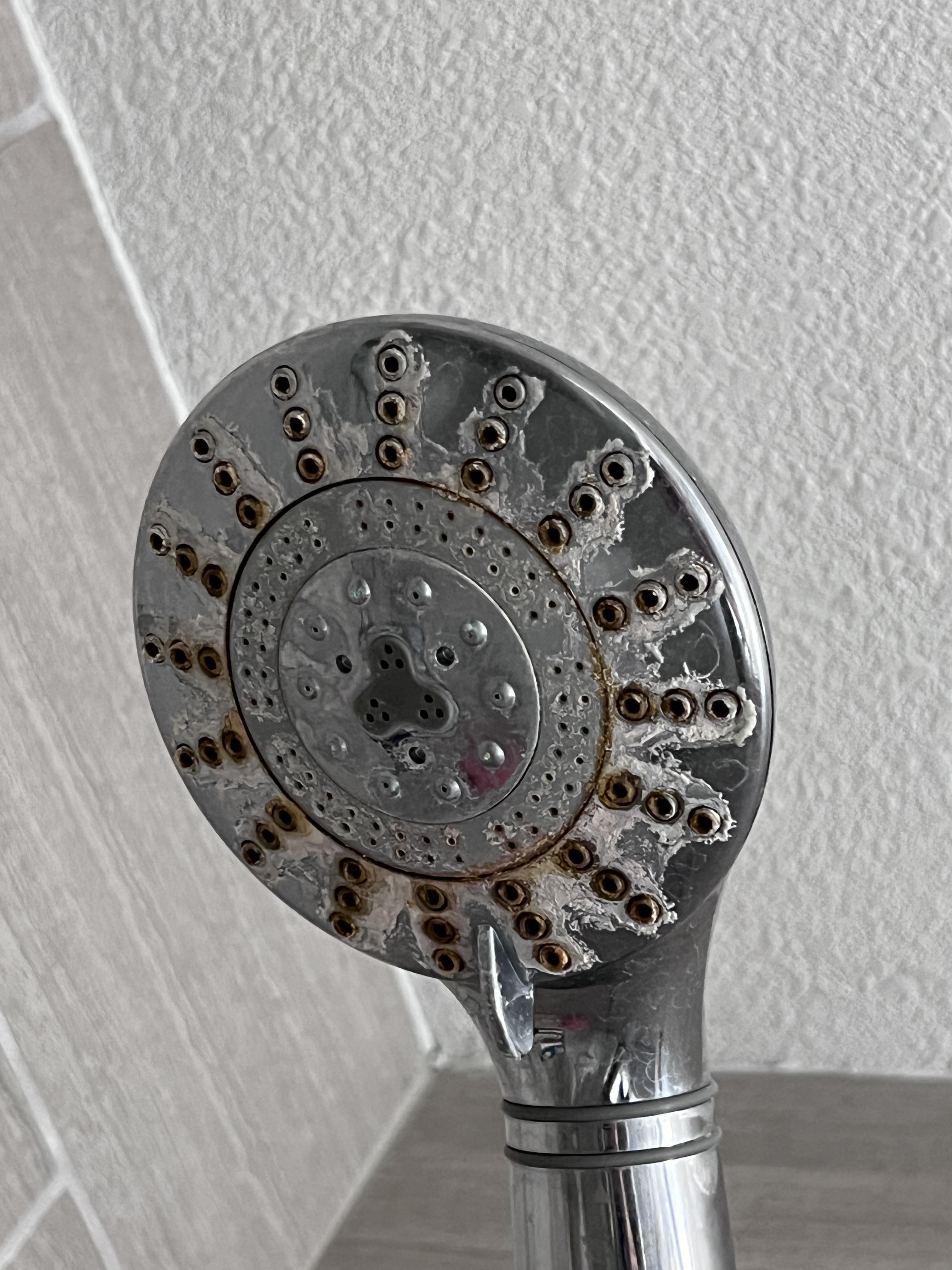 Cleaning a shower head with vinegar