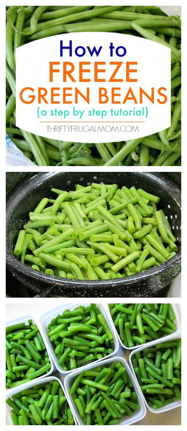 How to Freeze Green Beans