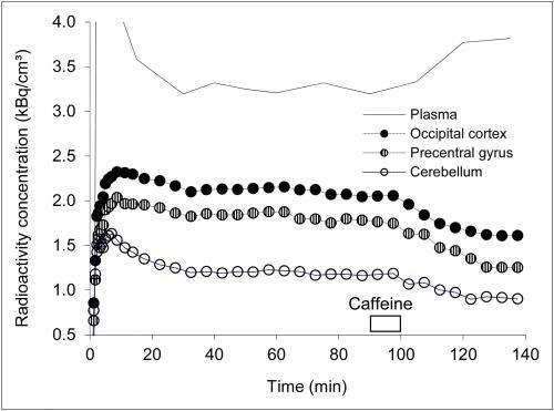 Understanding Caffeine Kick In Time