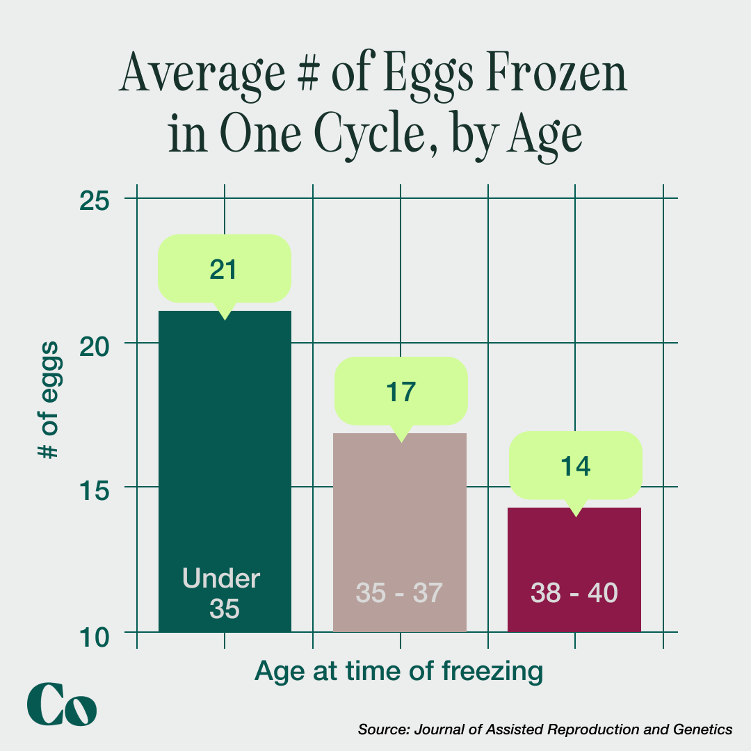 Best 7 Options for How Much It Costs to Freeze Eggs in 2025