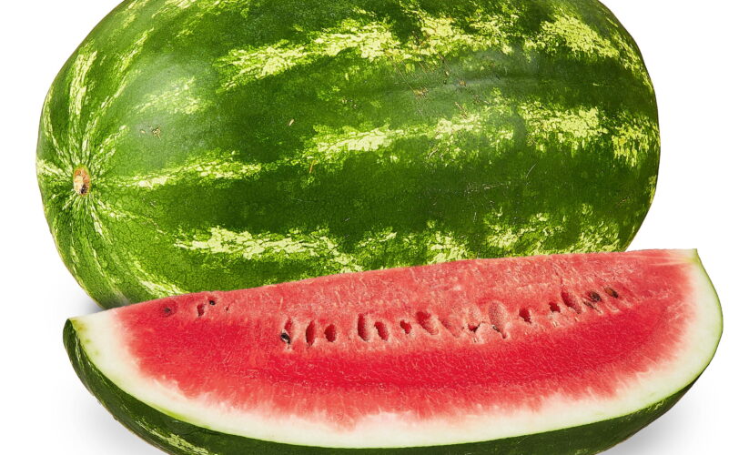 How to Effectively Grow Watermelon in 2025: Practical Tips for a Healthy Harvest