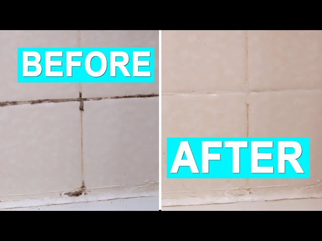 Mold removal process