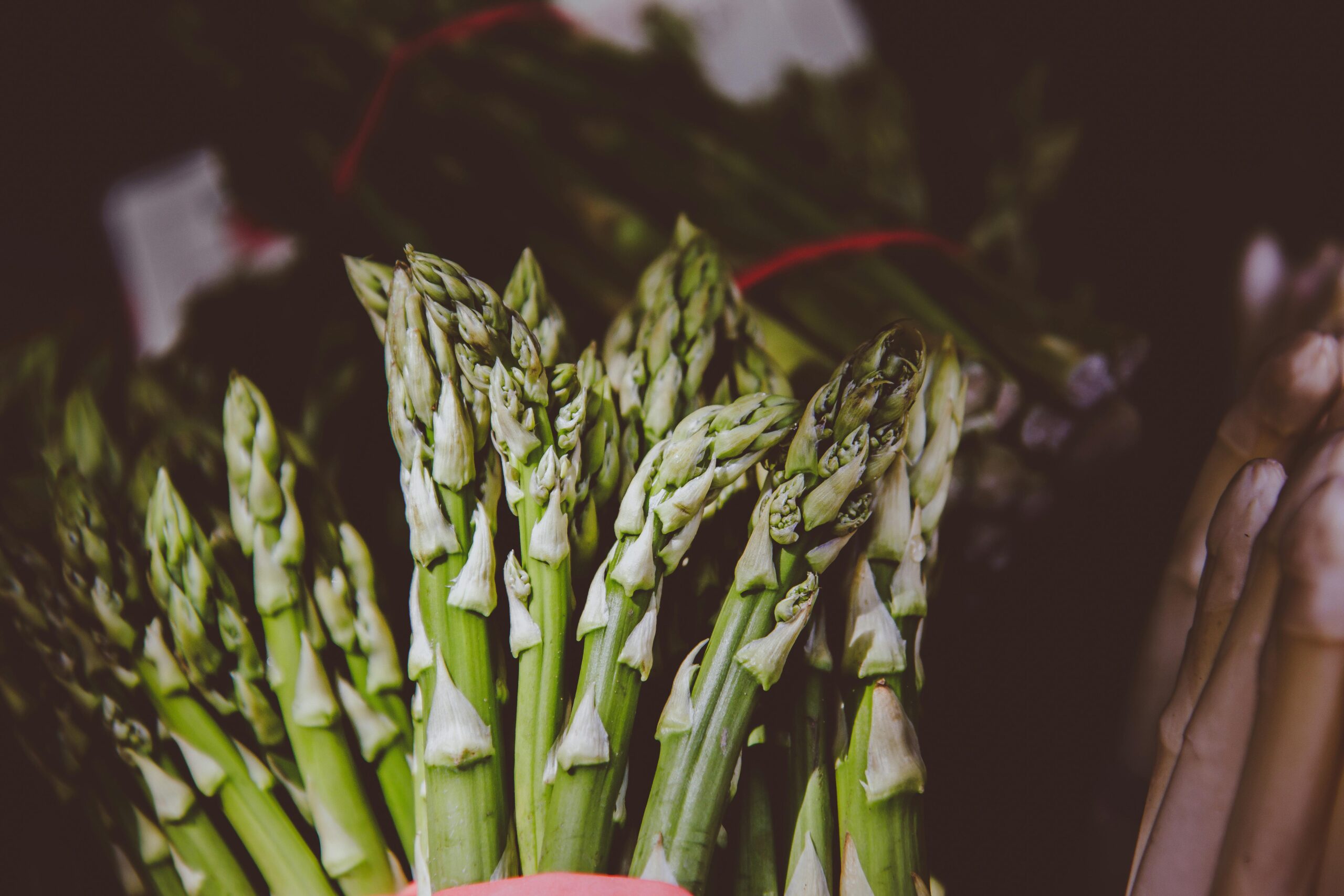 Smart Ways to Cook Asparagus in Air Fryer: Achieve Perfect Crispiness in 2025!