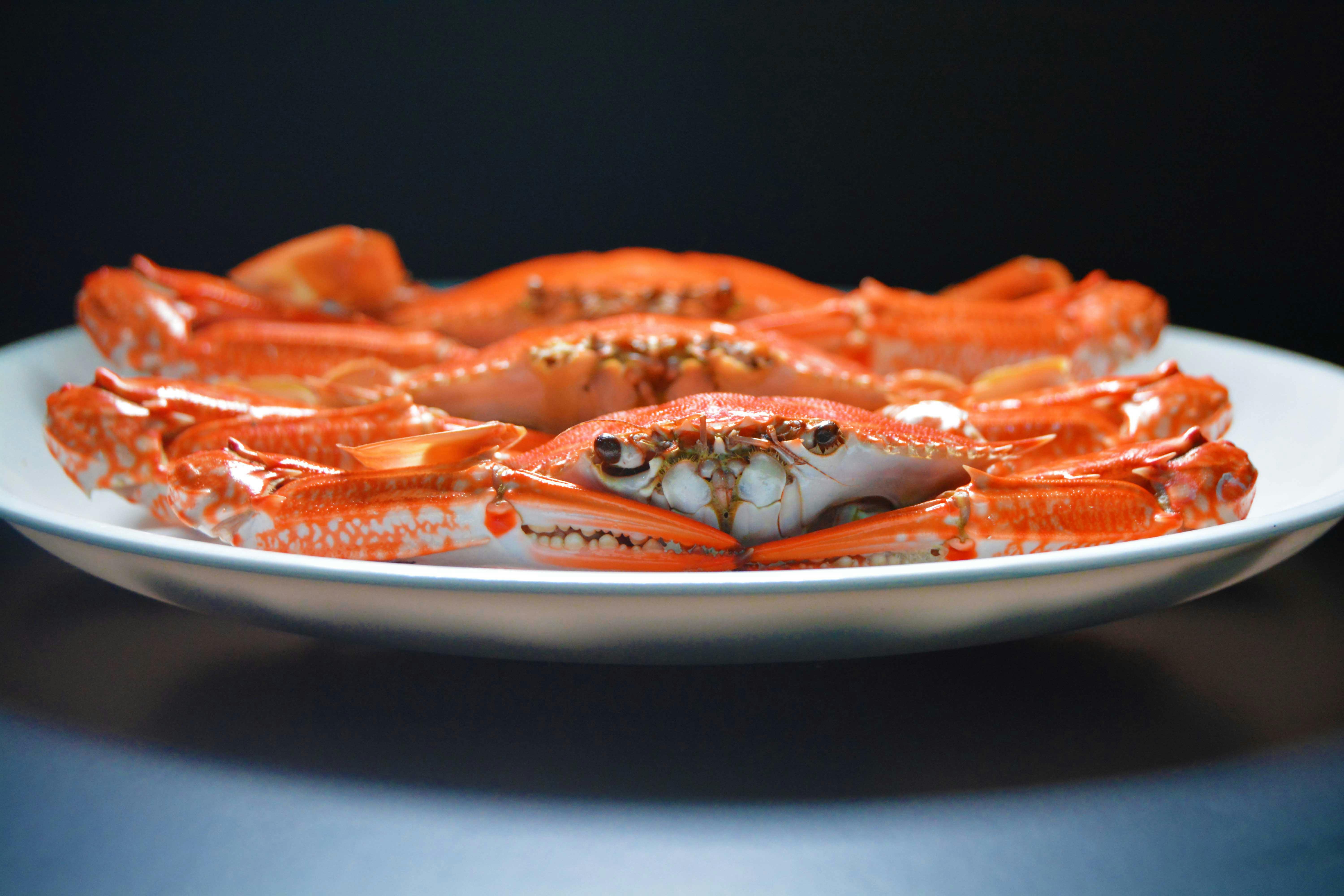 Perfectly steamed crab legs