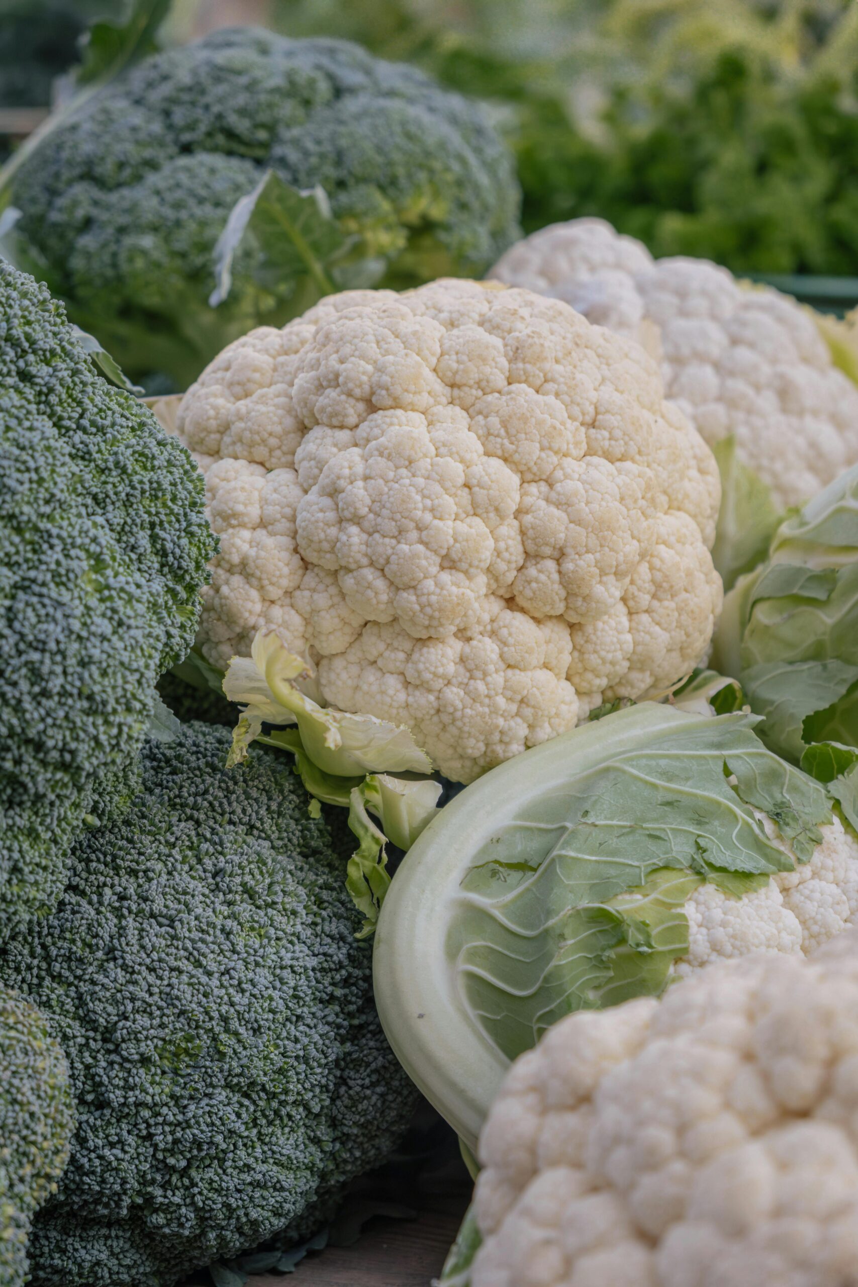 How to Properly Boil Broccoli for Better Nutrition and Flavor in 2025